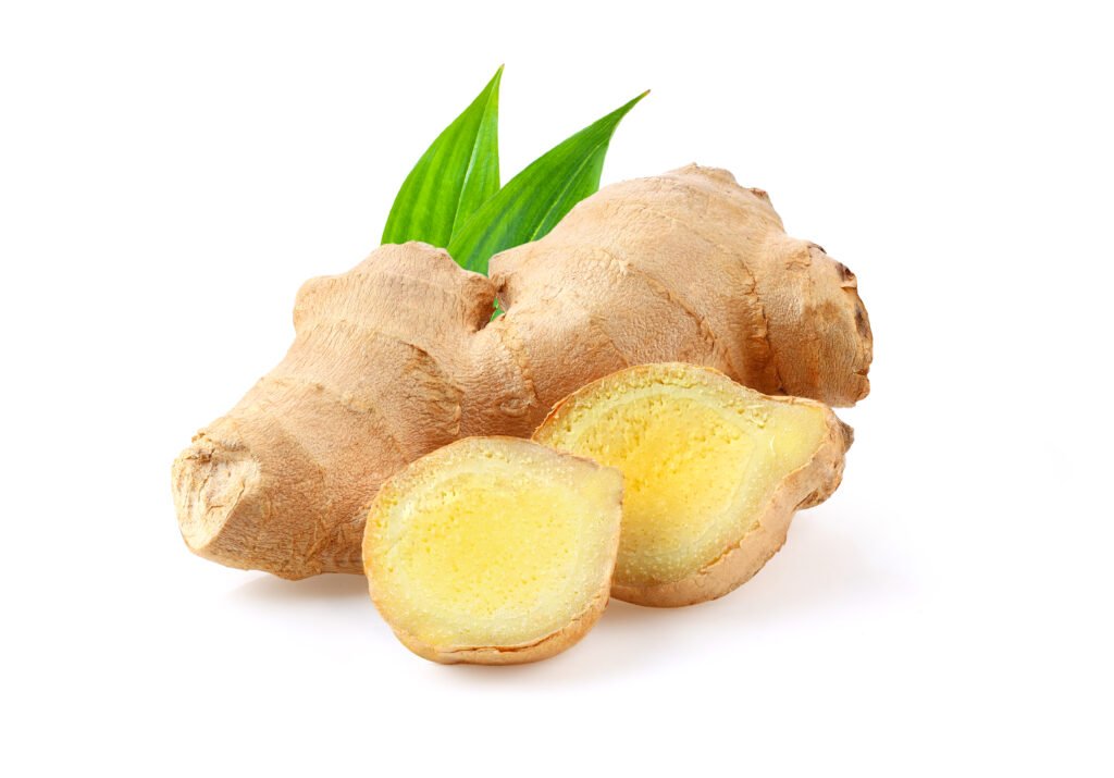 ginger with leaves isolated on a white background