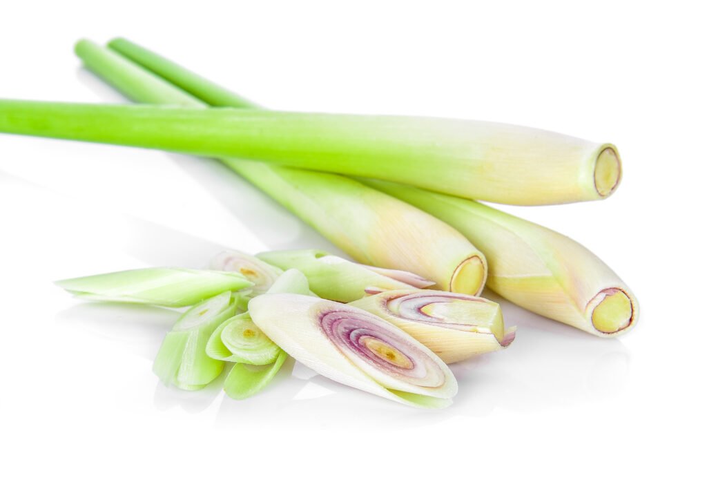 lemon grass on a white background