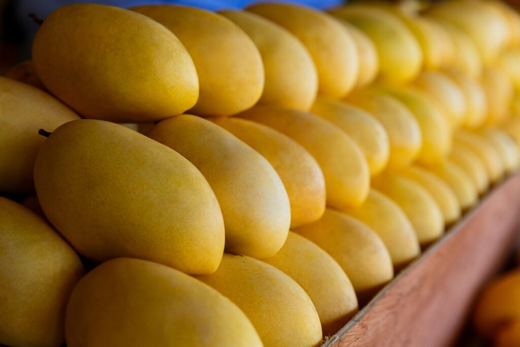 mango festival. stand with fresh yellow mango fruits in the street market. selective focus