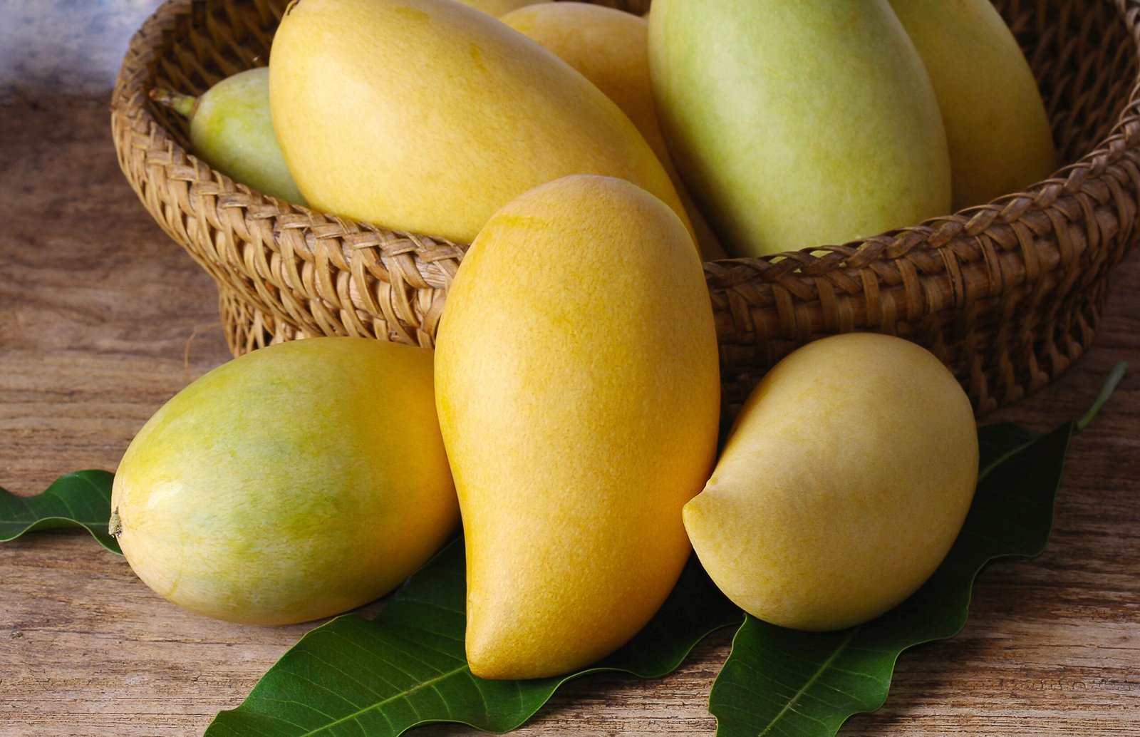 ripe mangoes fruit in basket with leaves on wooden